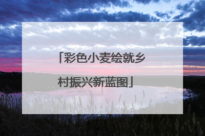 彩色小麦绘就乡村振兴新蓝图