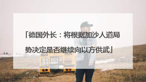 德国外长：将根据加沙人道局势决定是否继续向以方供武