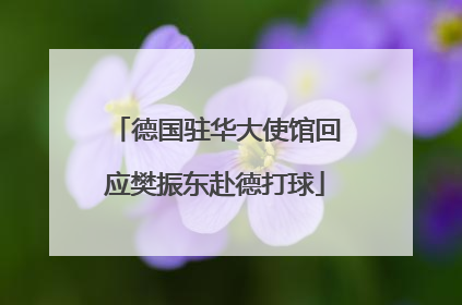 德国驻华大使馆回应樊振东赴德打球