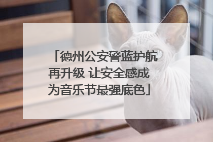 德州公安警蓝护航再升级 让安全感成为音乐节最强底色