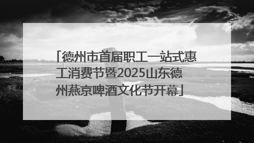 德州市首届职工一站式惠工消费节暨2025山东德州燕京啤酒文化节开幕