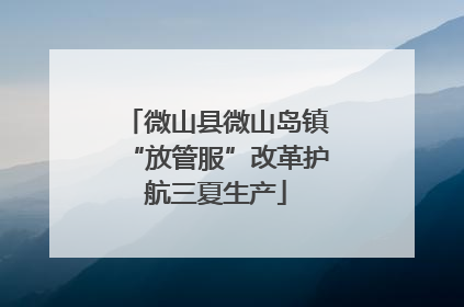 微山县微山岛镇“放管服”改革护航三夏生产