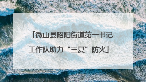 微山县昭阳街道第一书记工作队助力“三夏”防火