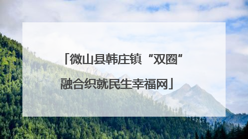 微山县韩庄镇“双圈”融合织就民生幸福网