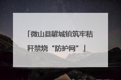 微山县驩城镇筑牢秸秆禁烧“防护网”