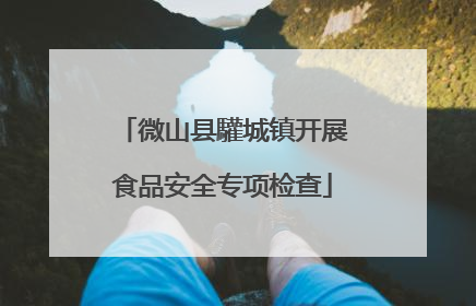 微山县驩城镇开展食品安全专项检查