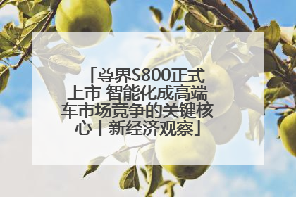 尊界S800正式上市 智能化成高端车市场竞争的关键核心丨新经济观察