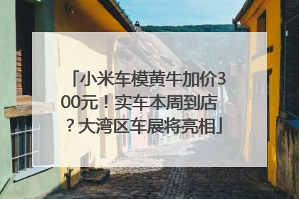 小米车模黄牛加价300元！实车本周到店？大湾区车展将亮相