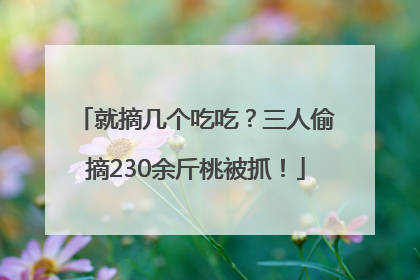 就摘几个吃吃？三人偷摘230余斤桃被抓！