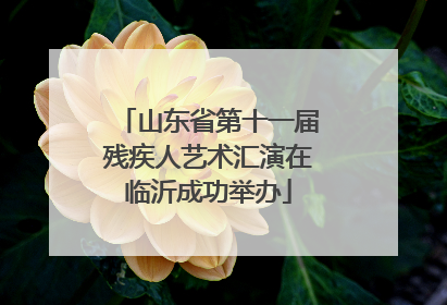 山东省第十一届残疾人艺术汇演在临沂成功举办