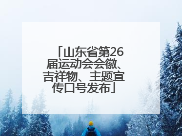 山东省第26届运动会会徽、吉祥物、主题宣传口号发布