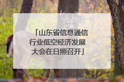 山东省信息通信行业低空经济发展大会在日照召开
