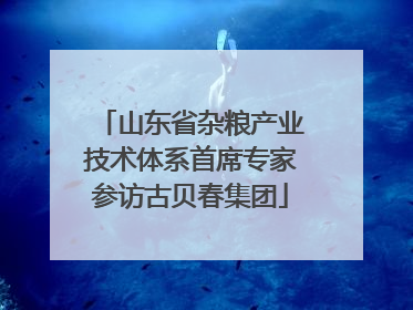 山东省杂粮产业技术体系首席专家参访古贝春集团