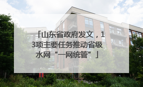 山东省政府发文，13项主要任务推动省级水网“一网统管”