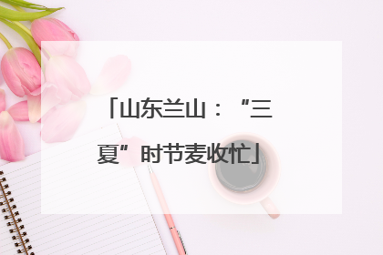 山东兰山：“三夏”时节麦收忙