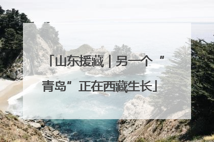 山东援藏｜另一个“青岛”正在西藏生长