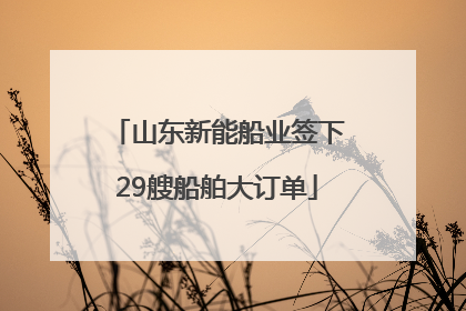 山东新能船业签下29艘船舶大订单