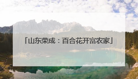 山东荣成：百合花开富农家