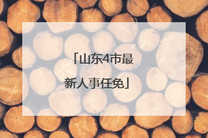 山东4市最新人事任免