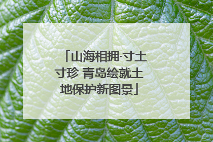 山海相拥·寸土寸珍 青岛绘就土地保护新图景
