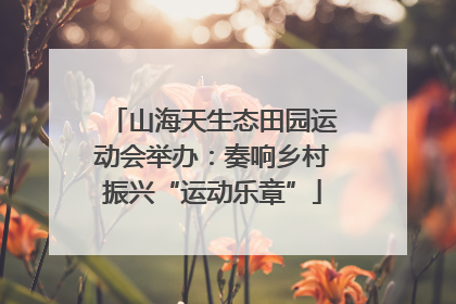 山海天生态田园运动会举办：奏响乡村振兴“运动乐章”