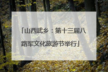 山西武乡：第十三届八路军文化旅游节举行