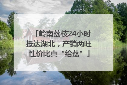 岭南荔枝24小时抵达湖北，产销两旺性价比真“给荔”