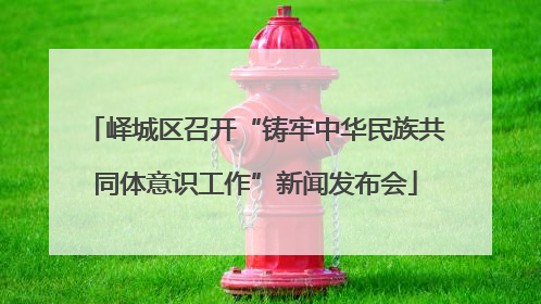 峄城区召开“铸牢中华民族共同体意识工作”新闻发布会