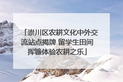 崇川区农耕文化中外交流站点揭牌 留学生田间挥镰体验农耕之乐