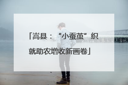 嵩县：“小蚕茧”织就助农增收新画卷
