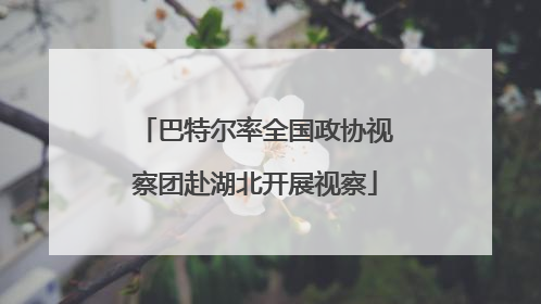 巴特尔率全国政协视察团赴湖北开展视察