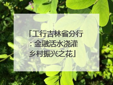工行吉林省分行：金融活水浇灌 乡村振兴之花
