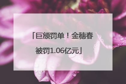 巨额罚单！金穗春被罚1.06亿元