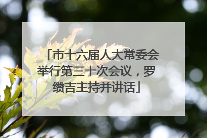 市十六届人大常委会举行第三十次会议，罗缵吉主持并讲话