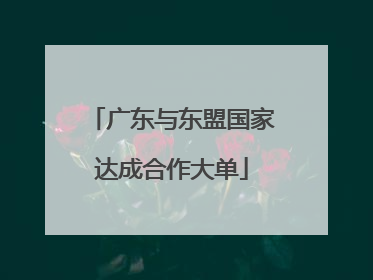 广东与东盟国家达成合作大单