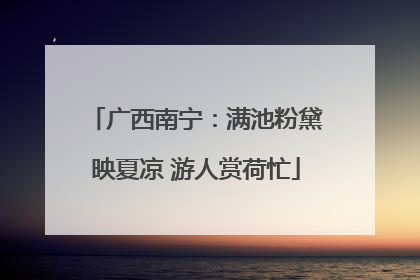 广西南宁：满池粉黛映夏凉 游人赏荷忙