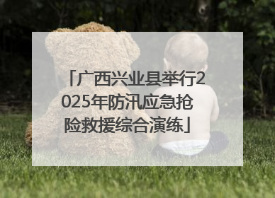 广西兴业县举行2025年防汛应急抢险救援综合演练