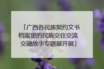 广西各民族契约文书档案里的民族交往交流交融故事专题展开展