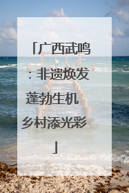 广西武鸣：非遗焕发蓬勃生机 乡村添光彩