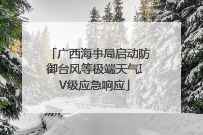 广西海事局启动防御台风等极端天气IV级应急响应