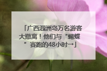 广西涠洲岛万名游客大撤离！他们与“蝴蝶”赛跑的48小时→