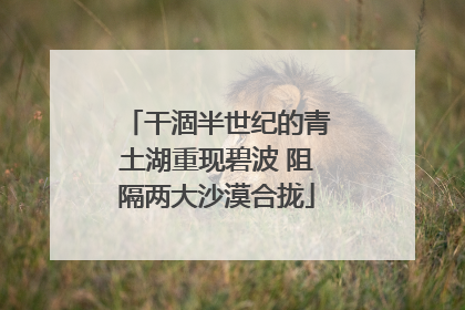 干涸半世纪的青土湖重现碧波 阻隔两大沙漠合拢
