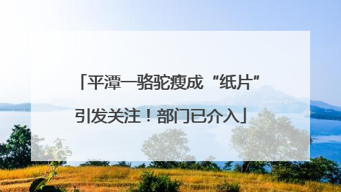 平潭一骆驼瘦成“纸片”引发关注！部门已介入