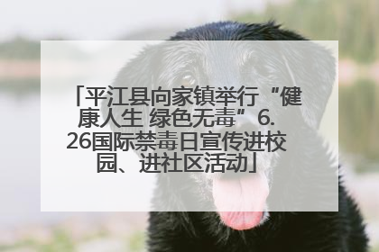 平江县向家镇举行“健康人生 绿色无毒”6.26国际禁毒日宣传进校园、进社区活动