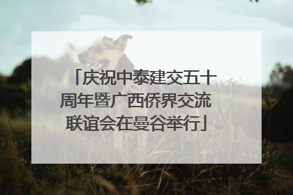 庆祝中泰建交五十周年暨广西侨界交流联谊会在曼谷举行