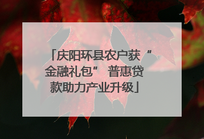庆阳环县农户获“金融礼包” 普惠贷款助力产业升级