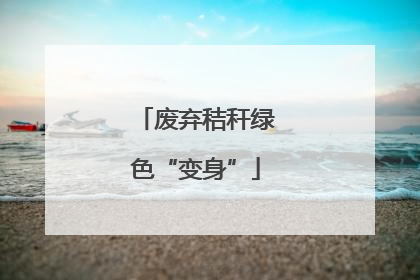 废弃秸秆绿色“变身”