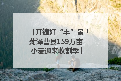 开镰好“丰”景！菏泽曹县159万亩小麦迎来收割季