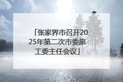 张家界市召开2025年第二次市委旅工委主任会议