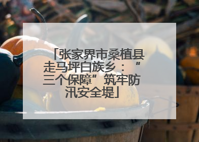 张家界市桑植县走马坪白族乡：“三个保障”筑牢防汛安全堤